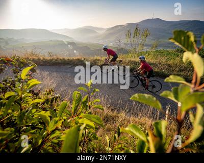Curves, serpentines and vineyard terraces at the Mondhalde, Kaiserstuhl Stock Photo