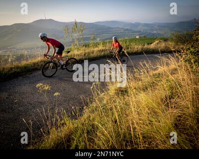 Curves, serpentines and vineyard terraces at the Mondhalde, Kaiserstuhl Stock Photo