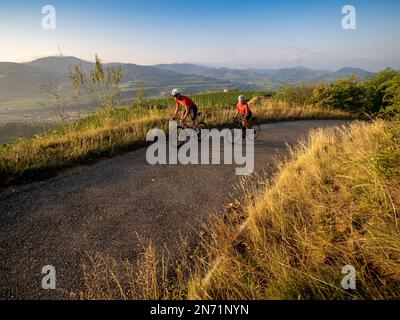 Curves, serpentines and vineyard terraces at the Mondhalde, Kaiserstuhl Stock Photo