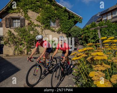 Curves, serpentines and vineyard terraces at Texaspass, Kaiserstuhl Stock Photo