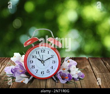 Blooming spring branches and alarm clock on white background Stock ...