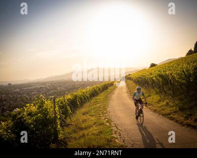 Road cyclist in the vineyards near Freiburg-St. Georgen. In the background the city of Freiburg and the peaks of the Black Forest. Stock Photo