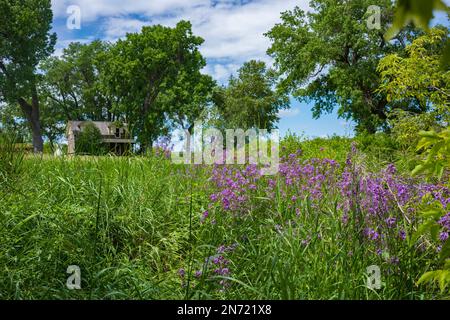 Pryor, MT, USA, Jun 24, 2022: Pryor, MT, USA, Jun 24, 2022: Chief Plenty Coups State Park, former home of the last Crow Chief is near Billings. The ho Stock Photo