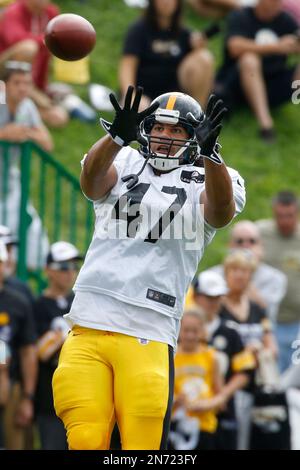 Pittsburgh Steelers tight end Rodney Williams (87) stretches before an NFL  preseason football game against the Tampa Bay Buccaneers, Friday, Aug. 11,  2023, in Tampa, Fla. (AP Photo/Peter Joneleit Stock Photo - Alamy