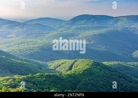 Solosnica (Breitenbrunn), forest, mountains Male Karpaty (Little Carpathians) in Male Karpaty (Little Carpathians), Slovakia Stock Photo