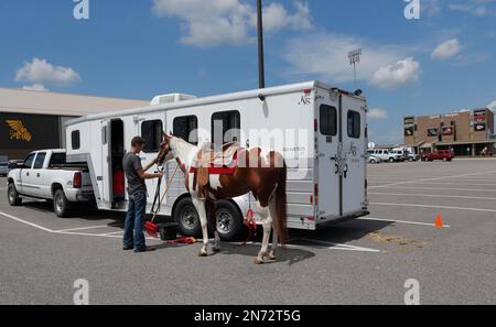 Warpaint, The Kansas City Chiefs mascot, gallops after a touchdown