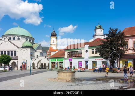 Trencin (Trentschin), Synagogue, Church and monastery of Piarists, Dol b na (Lower Gate), square Sturovo namestie in Slovakia Stock Photo