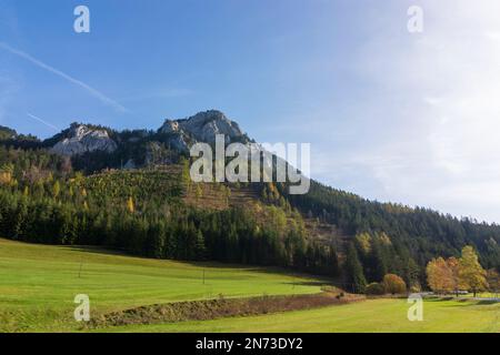 Schwarzau im Gebirge, mountain Falkenstein in Vienna Alps, Lower Austria, Austria Stock Photo