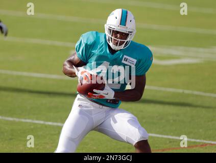 Miami Dolphins fullback Charles Clay (42) in action against the Cincinnati  Bengals in an NFL football game, Sunday, Oct. 7, 2012, in Cincinnati. (AP  Photo/Tom Uhlman Stock Photo - Alamy