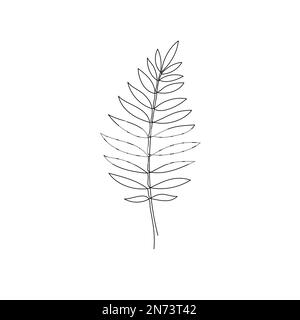 Line bay laurel leaf branch art. One continuous line art decorative bay laurel leaf draw. Editable stroke single branch element. Isolated vector illustration Stock Vector