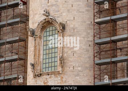 Details of the facade of the cathedral in Trani, Italy Stock Photo