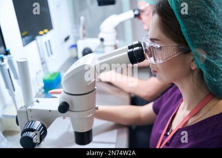 Laboratories at the workplace look through microscopes Stock Photo