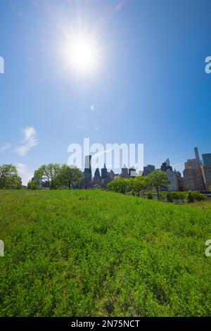 Midtown Manhattan skyscraper stands behind fresh green in Roosevelt Island. Stock Photo