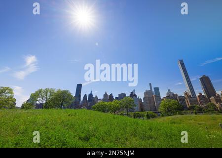 Midtown Manhattan skyscraper stands behind fresh green in Roosevelt Island. Stock Photo