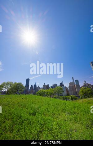 Midtown Manhattan skyscraper stands behind fresh green in Roosevelt Island. Stock Photo