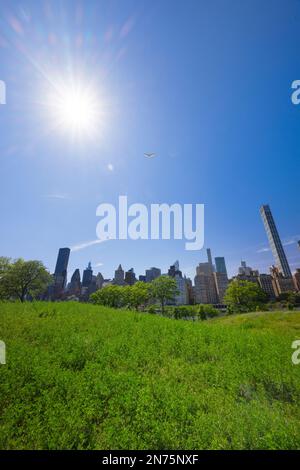 Midtown Manhattan skyscraper stands behind fresh green in Roosevelt Island. Stock Photo