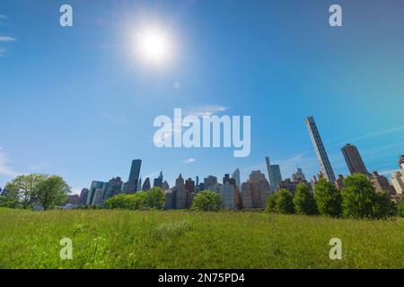 Midtown Manhattan skyscraper stands behind fresh green in Roosevelt Island. Stock Photo