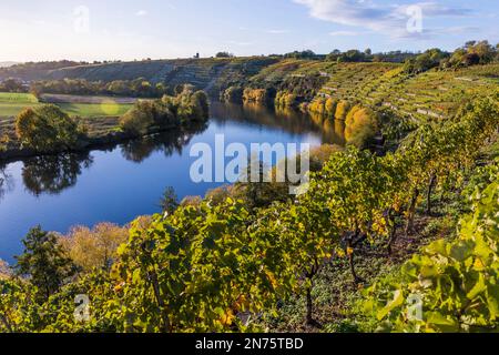 Neckar loop near Kirchheim am Neckar, Baden-Württemberg, Germany Stock Photo