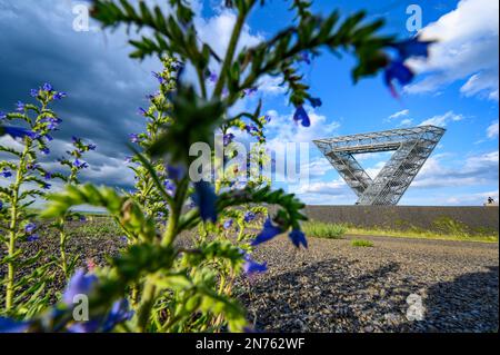 Germany, Saarland, Saar Roamers, Saarpolygon in Ensdorf, Ensdorf slagheap, mine, coal mining, Duhamel slagheap Stock Photo