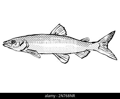 Cartoon style line drawing of a Coregonus albula, vendace or the European cisco, a fish endemic to Germany and Europe in Atlantic Ocean with halftone Stock Photo