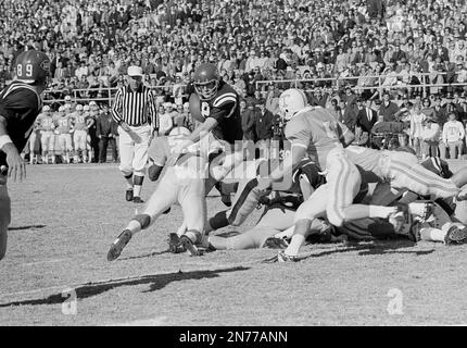 https://l450v.alamy.com/450v/2n77ann/ole-miss-quarterback-archie-manning-18-fumbles-the-ball-on-the-goal-line-as-he-is-hit-by-tennessees-jackie-walker-52-in-the-game-at-jackson-miss-nov-15-1966-ole-miss-tailback-randy-reed-blocking-at-right-fell-on-the-ball-in-the-end-zone-to-score-ole-miss-took-an-early-lead-over-third-ranked-tennessee-and-had-an-upset-in-the-making-ap-photolg-2n77ann.jpg