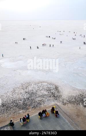 India, Gujarat State, Kutch desert, Loria village, woman carrying cow ...
