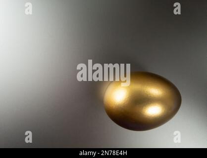 Single golden egg on a plain silver background Stock Photo