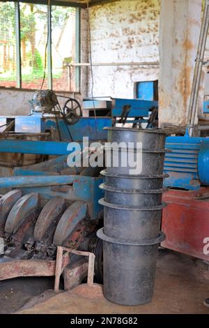 Kenya is a major producer and supplier of coffee - Fairview Estate coffee farm in Kimbu, Nairobi KE Stock Photo