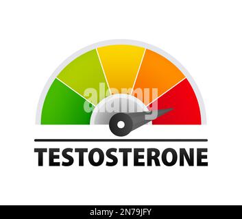 Testosterone level metering. Testosterone hormone speedometer, indicators. Stock Vector