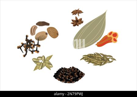 Gram masala vector illustration on white background Stock Vector