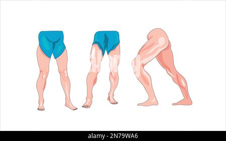 Set of men legs vector illustration on white background Stock Vector