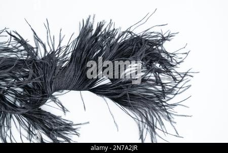 Bunch of long black feathers on white background Stock Photo