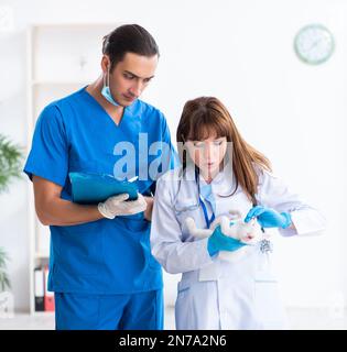 The two young vet doctors examining sick cat Stock Photo