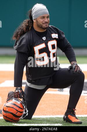 Cincinnati Bengals linebacker Rey Maualuga in action during practice at NFL  football training camp, Wednesday, Aug. 10, 2011 in Georgetown, Ky. (AP  Photo/Al Behrman Stock Photo - Alamy