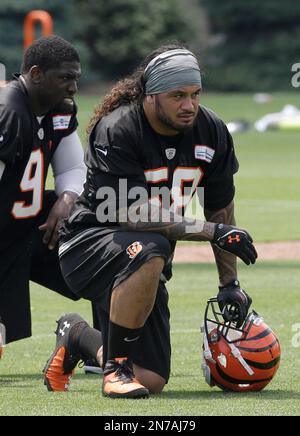 Cincinnati Bengals linebacker Rey Maualuga adjusts his hair during practice  at NFL football training camp on Wednesday, Aug. 10, 2011, in Georgetown,  Ky. (AP Photo/Al Behrman Stock Photo - Alamy