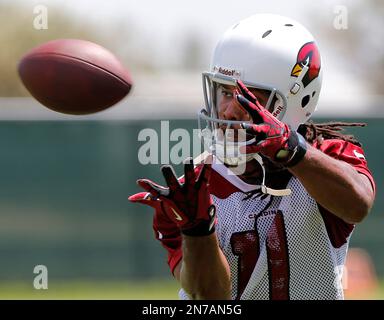 Arizona Cardinals ' Larry Fitzgerald (11) makes a catch during practice at  the NFL football team's training camp Thursday, June 7, 2018, in Tempe,  Ariz. (AP Photo/Matt York Stock Photo - Alamy