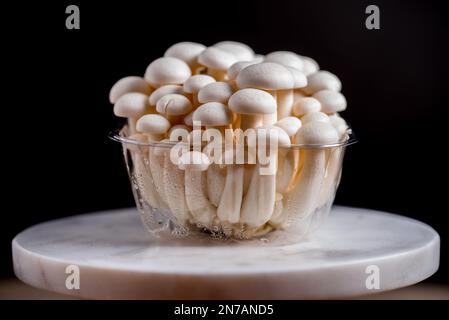 White shimeji edible mushrooms: Shimeji native to East Asia, buna-shimeji is cultivated and rich in umami tasting compounds. Stock Photo