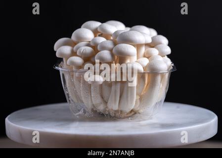 White shimeji edible mushrooms: Shimeji native to East Asia, buna-shimeji is cultivated and rich in umami tasting compounds. Stock Photo