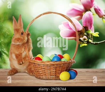Adorable bunny and wicker basket with Easter eggs on wooden surface outdoors Stock Photo