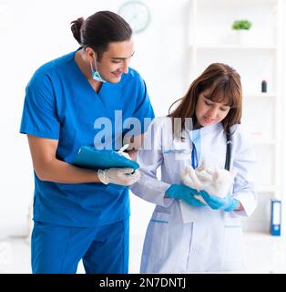 The two young vet doctors examining sick cat Stock Photo