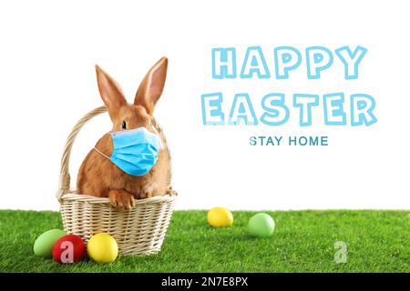 Text Happy Easter Stay Home and cute bunny in protective mask on green grass. Holiday during Covid-19 pandemic Stock Photo