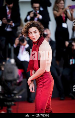 Il cast di 'Bones and All' sul red carpet di Venezia 79, La Biennale di Venezia 2022, Venezia, Italia Stock Photo