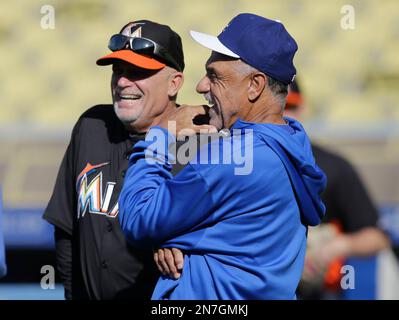 Los Angeles Dodgers first base coach Davey Lopes (15) before a baseball  game against the Arizona Diamondbacks, Friday, Sept. 11, 2015, in Phoenix.  (AP Photo/Rick Scuteri Stock Photo - Alamy