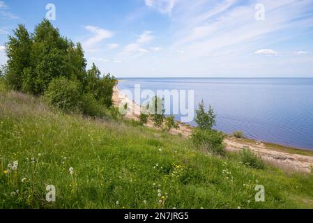 The coast of Ilmen lake on a sunny summer day. Novgorod region, Russia Stock Photo