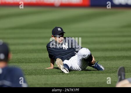 Ichiro Suzuki (Yankees), APRIL 26, 2013 - MLB : Ichiro Suzuki of the New  York Yankees at bat during the baseball game against the Toronto Blue Jays  at Yankee Stadium in The