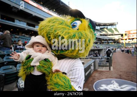 CHICAGO, IL- APRIL 9: Southpaw, the Chicago White Sox mascot entertains  fans in between innings during the game between the Tampa Bay Rays against  the Chicago White Sox at U.S. Cellular Field
