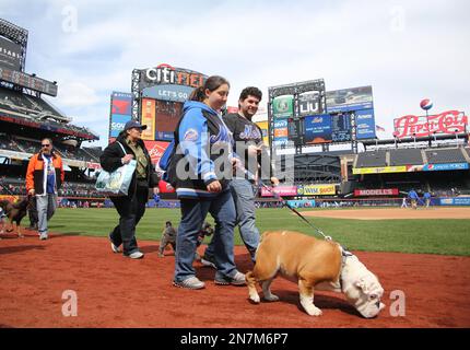Fans walk their dogs on the field for Bark in the Park prior to a baseball  game between the New York Mets and the Cincinnati Reds in Cincinnati,  Tuesday, May 9, 2023. (