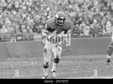 Minnesota Vikings Chuck Foreman (44), tough running back who is expected to  see plenty of action, is shown in action in 1974. (AP Photo Stock Photo -  Alamy