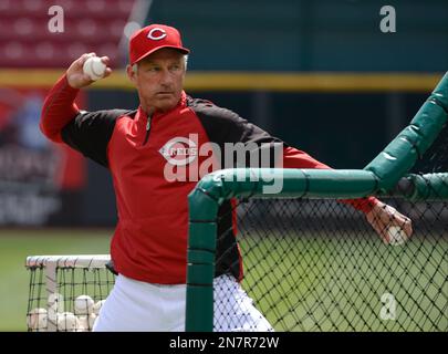 Cincinnati Reds Practice Uniform - National League (NL) - Chris