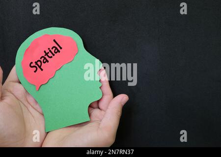 Spatial intelligence in psychology concept. Hand holding human head profile with word text on brain. Stock Photo